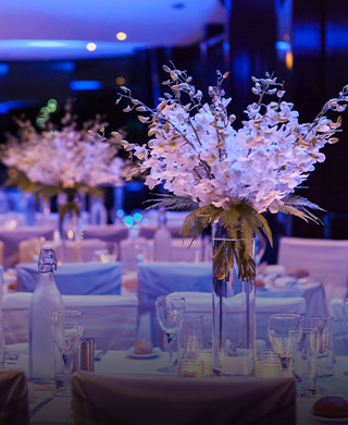 Private function hosted on a Clearview Glass Boat cruise in Sydney